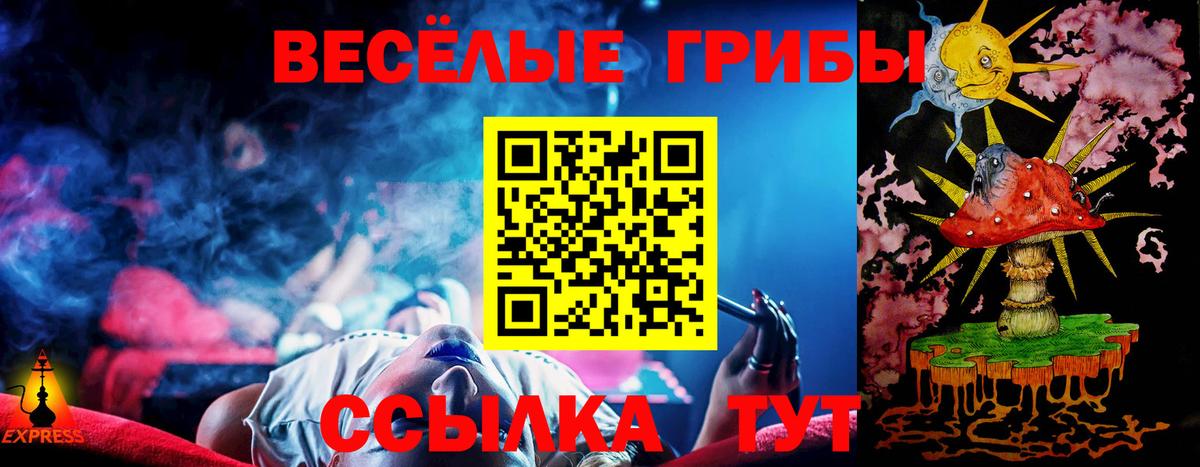 Галлюциногенные грибы Cubensis  Вход с VPN  Нерюнгри 