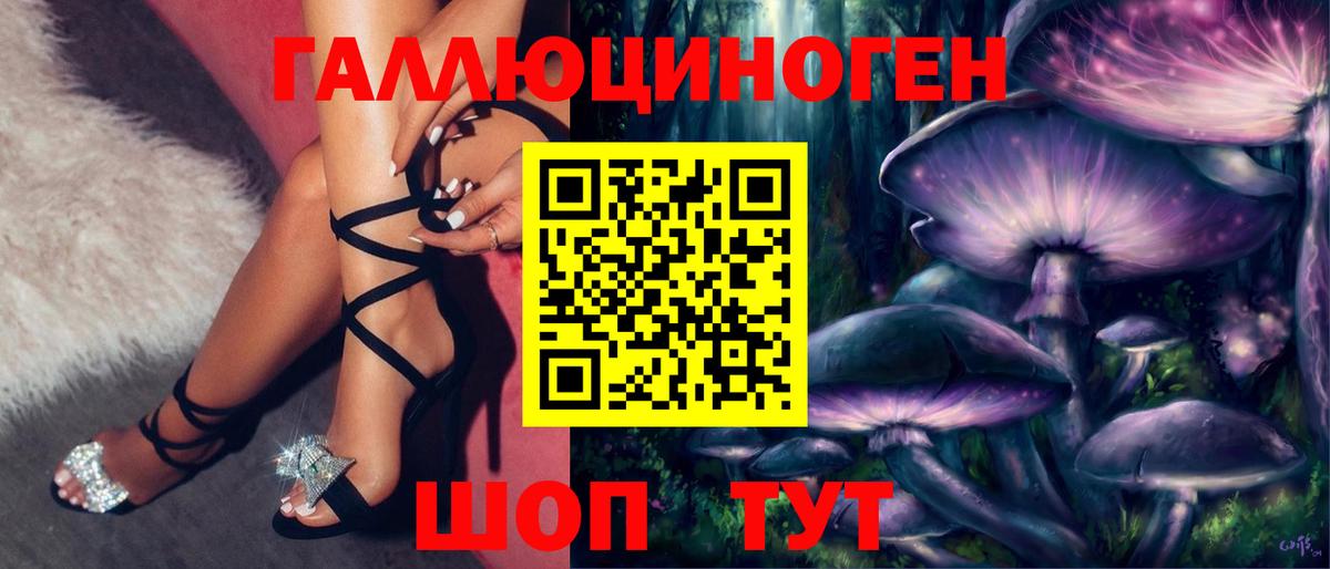 Галлюциногенные грибы Psilocybine cubensis Нерюнгри