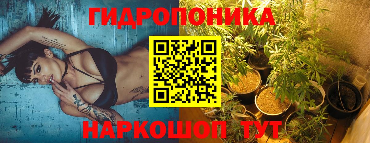 Бошки Шишки VHQ  Марихуана тримм  Вход с VPN  Нерюнгри  Канабис Bruce Banner  Каннабис планчик 